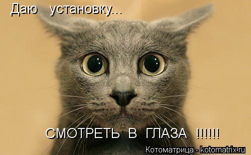 Даю установку... СМОТРЕТЬ В ГЛАЗА !!!!!!... Котоматрица: Даю установку... СМОТРЕТЬ В ГЛАЗА !!!!!!