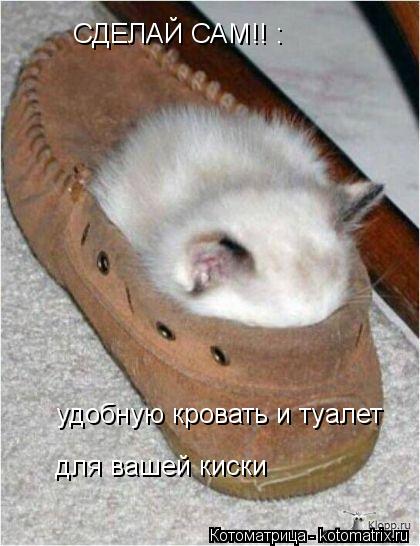 СДЕЛАЙ САМ!! : удобную кровать и туалет для вашей киски... Котоматрица: СДЕЛАЙ САМ!! : удобную кровать и туалет для вашей киски