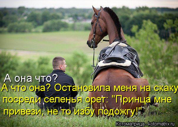А она что? посреди селенья орет: "Принца мне привези, не то избу подожгу!" А что она? Остановила мен... Котоматрица: А она что? посреди селенья орет: "Принца мне привези, не то избу подожгу!" А что она? Остановила меня на скаку