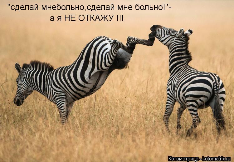 "сделай мнебольно,сделай мне больно!"- а я НЕ ОТКАЖУ !!!... Котоматрица: "сделай мнебольно,сделай мне больно!"- а я НЕ ОТКАЖУ !!!