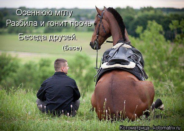 Осеннюю мглу Разбила и гонит прочь Беседа друзей. (Басе)... Котоматрица: Осеннюю мглу Разбила и гонит прочь Беседа друзей. (Басе)