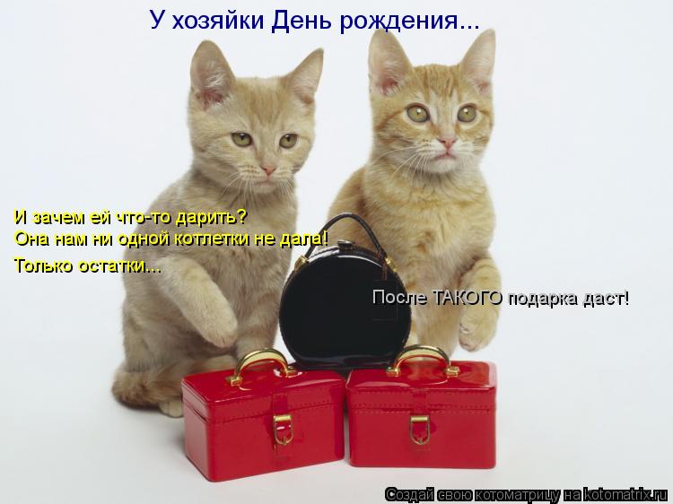 У хозяйки День рождения... И зачем ей что-то дарить? Она нам ни одной котлетки не дала! Только остатк... Котоматрица: У хозяйки День рождения... И зачем ей что-то дарить? Она нам ни одной котлетки не дала! Только остатки... После ТАКОГО подарка даст!
