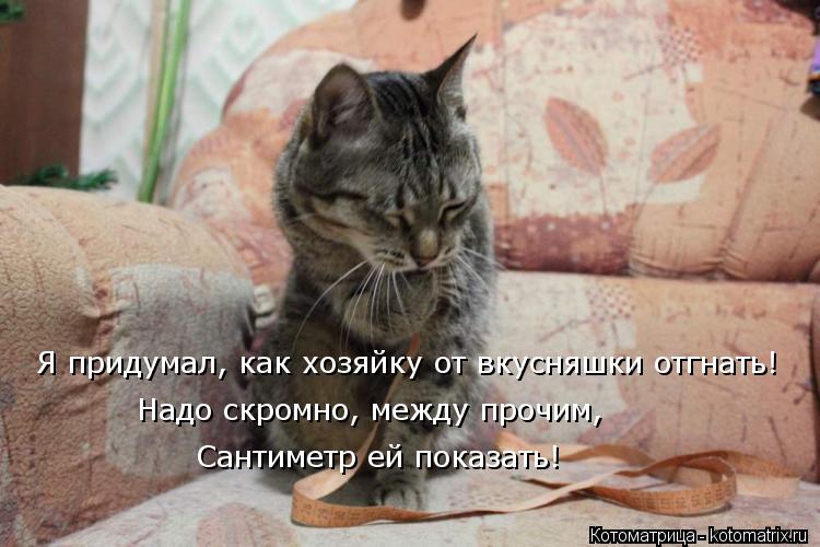 Я придумал, как хозяйку от вкусняшки отгнать! Надо скромно, между прочим, Сантиметр ей показать!... Котоматрица: Я придумал, как хозяйку от вкусняшки отгнать! Надо скромно, между прочим, Сантиметр ей показать!
