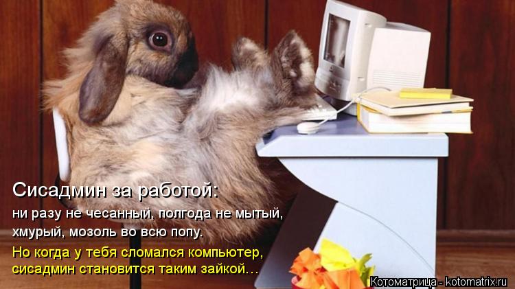Сисадмин за работой: ни разу не чесанный, полгода не мытый, хмурый, мозоль во всю попу. Но когда у те... Котоматрица: Сисадмин за работой: ни разу не чесанный, полгода не мытый, хмурый, мозоль во всю попу. Но когда у тебя сломался компьютер, сисадмин становит