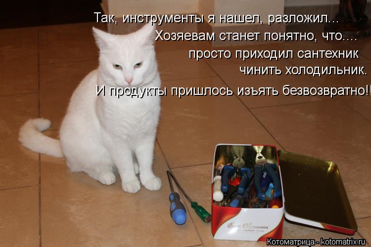 Так, инструменты я нашел, разложил... Хозяевам станет понятно, что.... просто приходил сантехник чин... Котоматрица: Так, инструменты я нашел, разложил... Хозяевам станет понятно, что.... просто приходил сантехник чинить холодильник. И продукты пришлось изъя