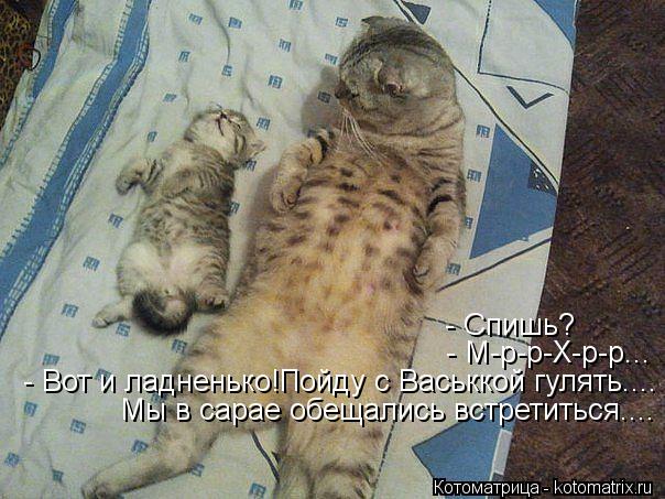 - Спишь? - М-р-р-Х-р-р... - Вот и ладненько!Пойду с Васьккой гулять.... Мы в сарае обещались встретит... Котоматрица: - Спишь? - М-р-р-Х-р-р... - Вот и ладненько!Пойду с Васьккой гулять.... Мы в сарае обещались встретиться....