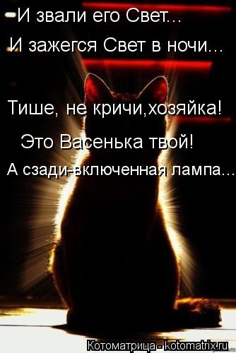 И звали его Свет... И зажегся Свет в ночи... Тише, не кричи,хозяйка! Это Васенька твой! А сзади-включ... Котоматрица: И звали его Свет... И зажегся Свет в ночи... Тише, не кричи,хозяйка! Это Васенька твой! А сзади-включенная лампа...