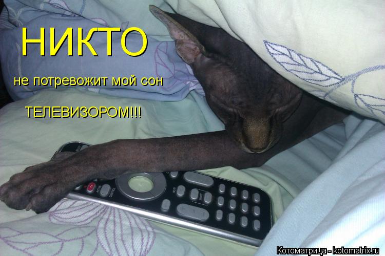 НИКТО не потревожит мой сон ТЕЛЕВИЗОРОМ!!!... Котоматрица: НИКТО не потревожит мой сон ТЕЛЕВИЗОРОМ!!!