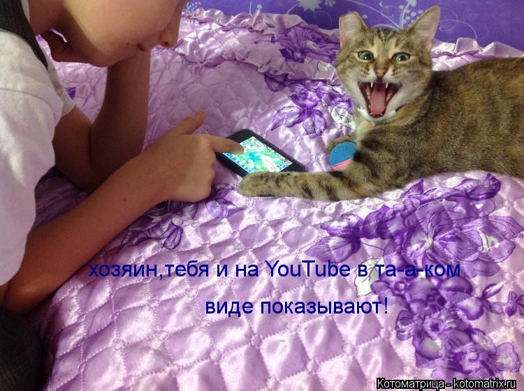 хозяин,тебя и на YouTube в та-а-ком виде показывают!... Котоматрица: хозяин,тебя и на YouTube в та-а-ком виде показывают!