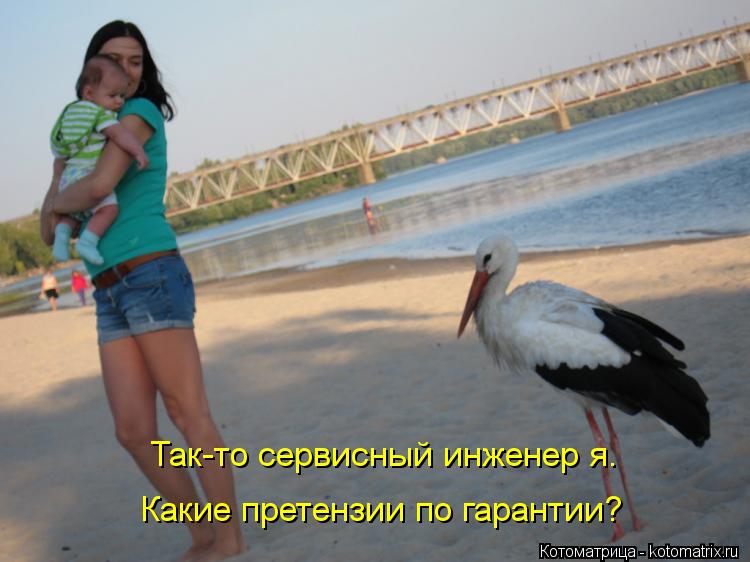Так-то сервисный инженер я. Какие претензии по гарантии?... Котоматрица: Так-то сервисный инженер я. Какие претензии по гарантии?