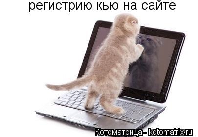 регистрию кью на сайте... Котоматрица: регистрию кью на сайте