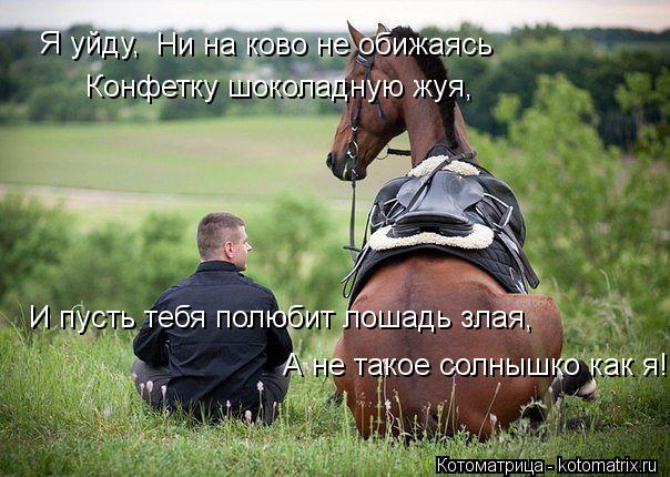 Я уйду, Конфетку шоколадную жуя, Ни на ково не обижаясь И пусть тебя полюбит лошадь злая, А не такое ... Котоматрица: Я уйду, Конфетку шоколадную жуя, Ни на ково не обижаясь И пусть тебя полюбит лошадь злая, А не такое солнышко как я!