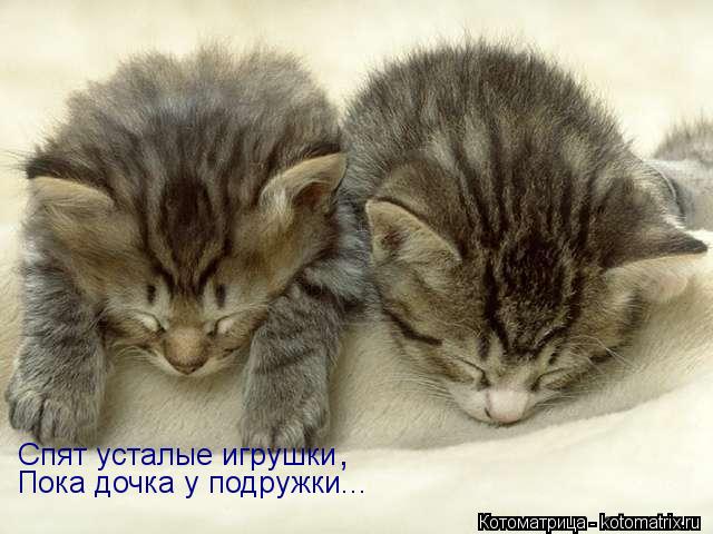 Спят усталые игрушки Пока дочка у подружки... ,... Котоматрица: Спят усталые игрушки Пока дочка у подружки... ,