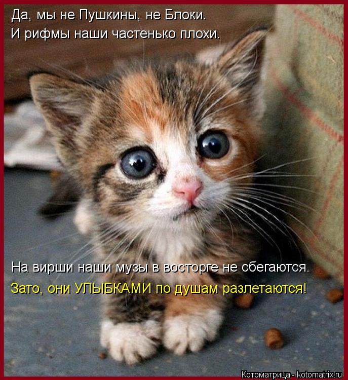 Да, мы не Пушкины, не Блоки. И рифмы наши частенько плохи. На вирши наши музы в восторге не сбегаются... Котоматрица: Да, мы не Пушкины, не Блоки. И рифмы наши частенько плохи. На вирши наши музы в восторге не сбегаются. Зато, они УЛЫБКАМИ по душам разлетаются!