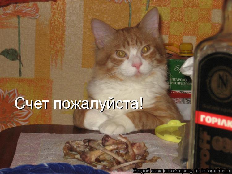Счет пожалуйста!... Котоматрица: Счет пожалуйста!
