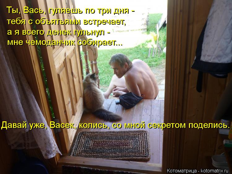 Ты, Вась, гуляешь по три дня - а я всего денек гульнул - Давай уже, Васек, колись, со мной секретом... Котоматрица: Ты, Вась, гуляешь по три дня - а я всего денек гульнул - Давай уже, Васек, колись, со мной секретом поделись. тебя с объятьями встречает, мне че