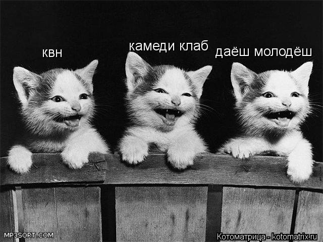 квн камеди клаб даёш молодёш... Котоматрица: квн камеди клаб даёш молодёш