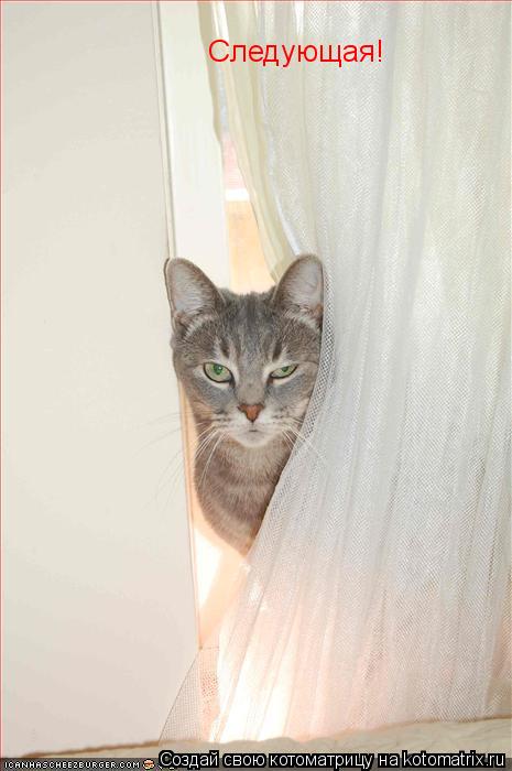 Следующая!... Котоматрица: Следующая!