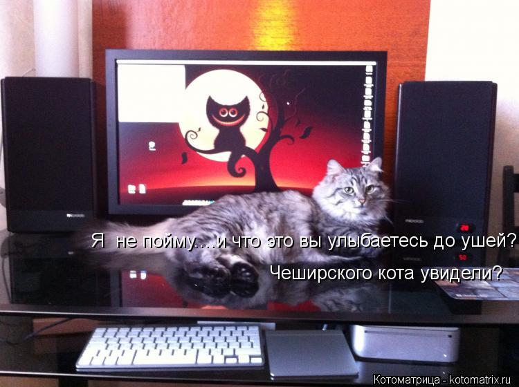 Я не пойму....и что это вы улыбаетесь до ушей? Чеширского кота увидели?... Котоматрица: Я не пойму....и что это вы улыбаетесь до ушей? Чеширского кота увидели?