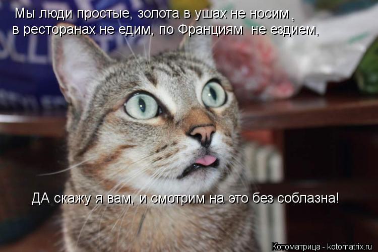 Мы люди простые, золота в ушах не носим , в ресторанах не едим, по Франциям не ездием , ДА скажу я в... Котоматрица: Мы люди простые, золота в ушах не носим , в ресторанах не едим, по Франциям не ездием , ДА скажу я вам, и смотрим на это без соблазна!