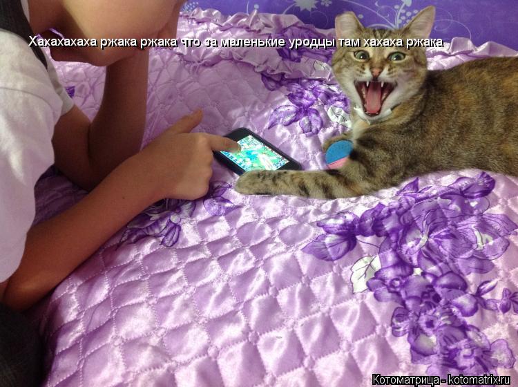 Хахахахаха ржака ржака что за маленькие уродцы там хахаха ржака... Котоматрица: Хахахахаха ржака ржака что за маленькие уродцы там хахаха ржака