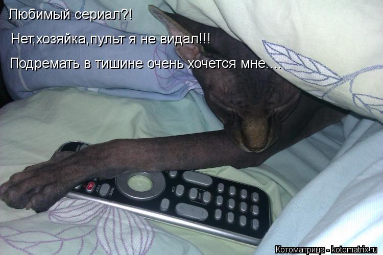 Любимый сериал?! Нет,хозяйка,пульт я не видал!!! Подремать в тишине очень хочется мне....... Котоматрица: Любимый сериал?! Нет,хозяйка,пульт я не видал!!! Подремать в тишине очень хочется мне....