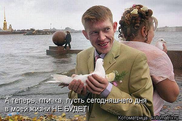 А теперь, птичка, пусть сегодняшнего дня в моей жизни НЕ БУДЕТ!... Котоматрица: А теперь, птичка, пусть сегодняшнего дня в моей жизни НЕ БУДЕТ!