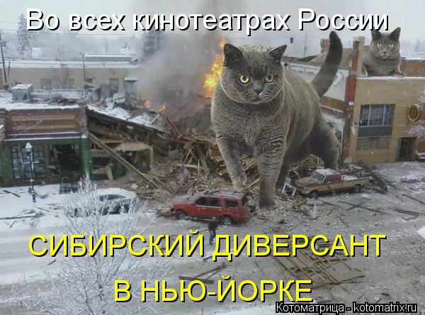 Во всех кинотеатрах России СИБИРСКИЙ ДИВЕРСАНТ В НЬЮ-ЙОРКЕ... Котоматрица: Во всех кинотеатрах России СИБИРСКИЙ ДИВЕРСАНТ В НЬЮ-ЙОРКЕ