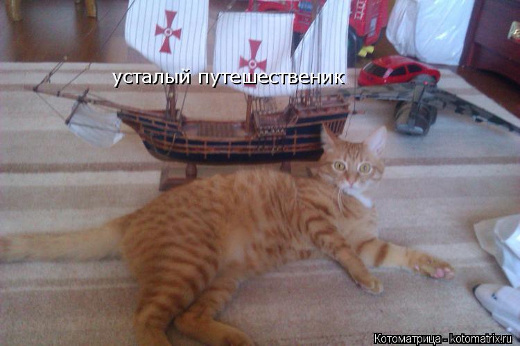 усталый путешественик... Котоматрица: усталый путешественик