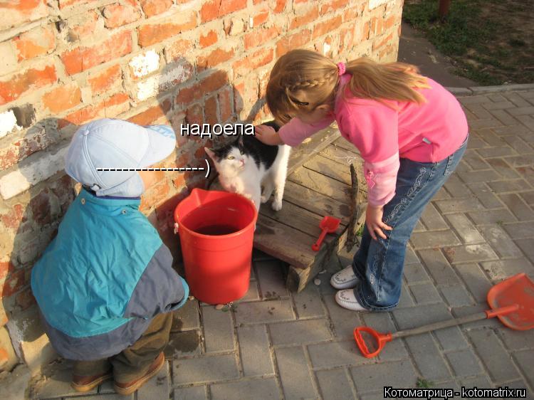 -----------------) надоела... Котоматрица: -----------------) надоела