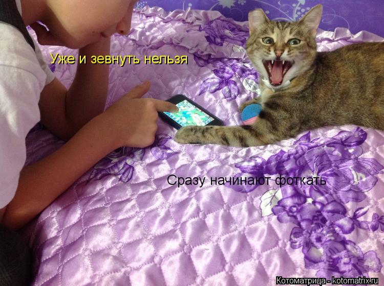 Уже и зевнуть нельзя Сразу начинают фоткать... Котоматрица: Уже и зевнуть нельзя Сразу начинают фоткать