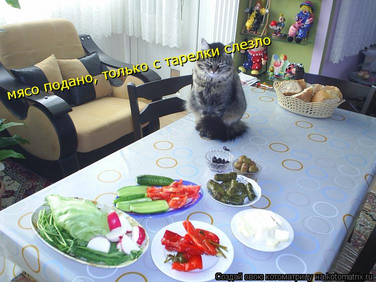 мясо подано, только с тарелки слезло... Котоматрица: мясо подано, только с тарелки слезло