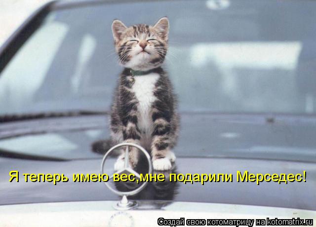 Я теперь имею вес,мне подарили Мерседес!... Котоматрица: Я теперь имею вес,мне подарили Мерседес!