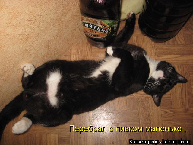 Перебрал с пивком маленько...... Котоматрица: Перебрал с пивком маленько...