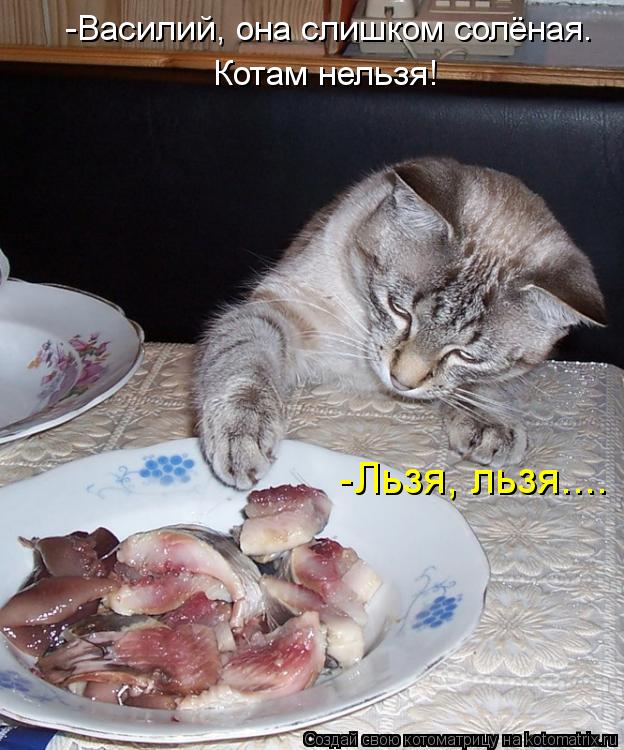 -Василий, она слишком солёная. Котам нельзя! -Льзя, льзя....... Котоматрица: -Василий, она слишком солёная. Котам нельзя! -Льзя, льзя....