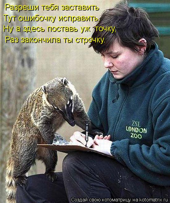 Тут ошибочку исправить. Раз закончила ты строчку. Разреши тебя заставить Ну а здесь поставь уж точку... Котоматрица: Тут ошибочку исправить. Раз закончила ты строчку. Разреши тебя заставить Ну а здесь поставь уж точку,