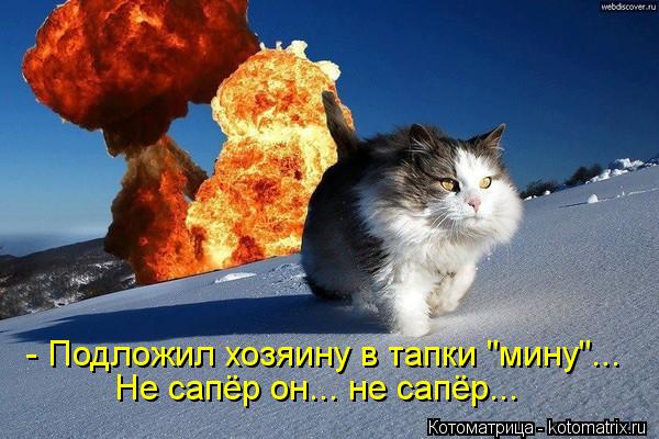 - Подложил хозяину в тапки "мину"... Не сапёр он... не сапёр...... Котоматрица: - Подложил хозяину в тапки "мину"... Не сапёр он... не сапёр...