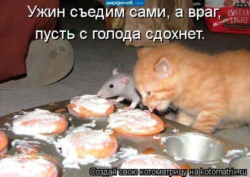 Ужин съедим сами, а враг, пусть с голода сдохнет.... Котоматрица: Ужин съедим сами, а враг, пусть с голода сдохнет.
