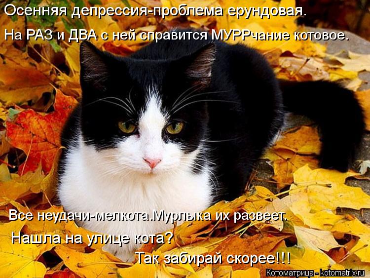 Котоматрица: Осенняя депрессия-проблема ерундовая. На РАЗ и ДВА с ней справится МУРРчание котовое. Все неудачи-мелкота.Мурлыка их развеет. Нашла на улиц