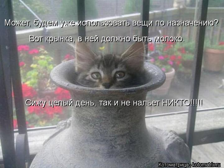 Может, будем уже использовать вещи по назначению? Вот крынка, в ней должно быть молоко. Сижу целый де... Котоматрица: Может, будем уже использовать вещи по назначению? Вот крынка, в ней должно быть молоко. Сижу целый день, так и не нальет НИКТО!!!!!