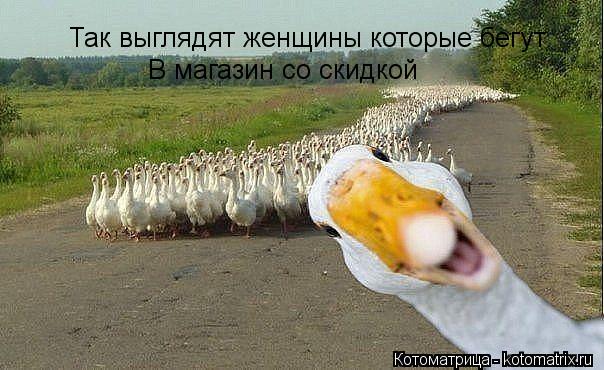 Так выглядят женщины которые бегут В магазин со скидкой... Котоматрица: Так выглядят женщины которые бегут В магазин со скидкой