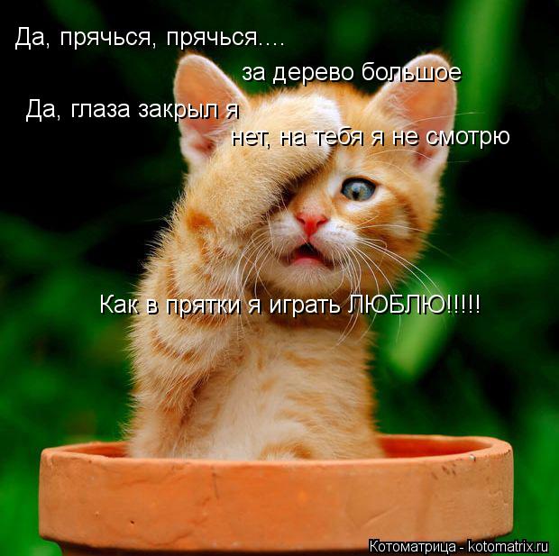 Да, прячься, прячься.... за дерево большое Да, глаза закрыл я нет, на тебя я не смотрю Как в прятки я... Котоматрица: Да, прячься, прячься.... за дерево большое Да, глаза закрыл я нет, на тебя я не смотрю Как в прятки я играть ЛЮБЛЮ!!!!!
