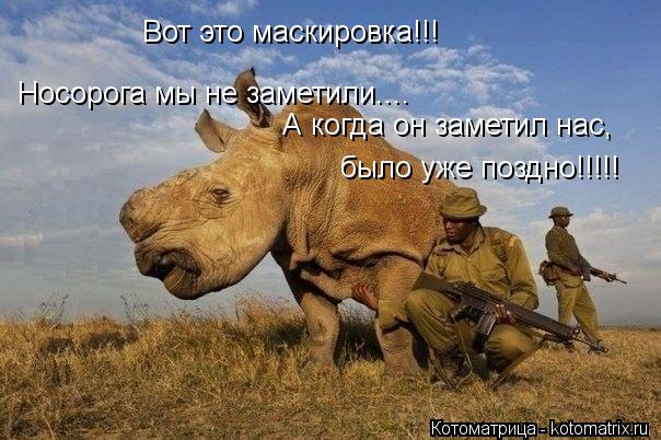 Носорога мы не заметили.... А когда он заметил нас, было уже поздно!!!!! Вот это маскировка!!!... Котоматрица: Носорога мы не заметили.... А когда он заметил нас, было уже поздно!!!!! Вот это маскировка!!!