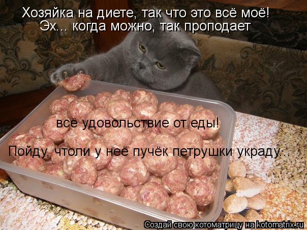 Хозяйка на диете, так что это всё моё! Эх... когда можно, так проподает всё удовольствие от еды! По... Котоматрица: Хозяйка на диете, так что это всё моё! Эх... когда можно, так проподает всё удовольствие от еды! Пойду, чтоли у неё пучёк петрушки украду...