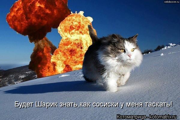 Будет Шарик знать,как сосиски у меня таскать!... Котоматрица: Будет Шарик знать,как сосиски у меня таскать!