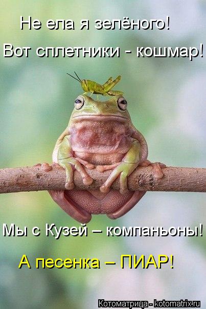Эти забавные животные