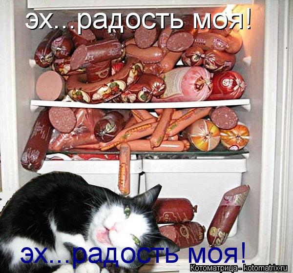 эх...радость моя! эх...радость моя!... Котоматрица: эх...радость моя! эх...радость моя!