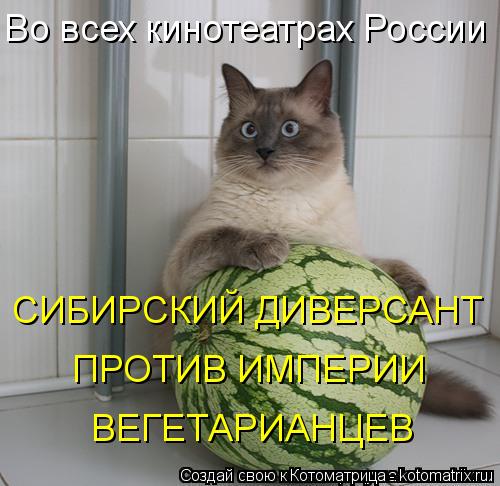 Во всех кинотеатрах России СИБИРСКИЙ ДИВЕРСАНТ ПРОТИВ ИМПЕРИИ ВЕГЕТАРИАНЦЕВ... Котоматрица: Во всех кинотеатрах России СИБИРСКИЙ ДИВЕРСАНТ ПРОТИВ ИМПЕРИИ ВЕГЕТАРИАНЦЕВ