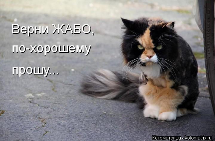 Верни ЖАБО, по-хорошему прошу...... Котоматрица: Верни ЖАБО, по-хорошему прошу...