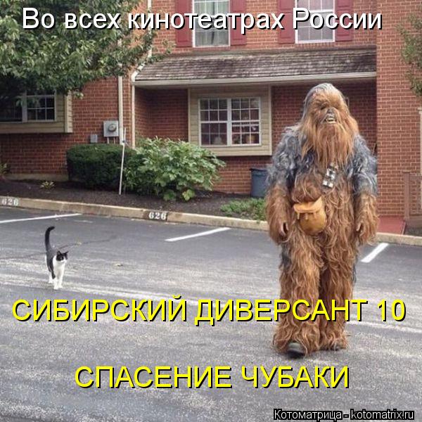 Во всех кинотеатрах России СИБИРСКИЙ ДИВЕРСАНТ 10 СПАСЕНИЕ ЧУБАКИ... Котоматрица: Во всех кинотеатрах России СИБИРСКИЙ ДИВЕРСАНТ 10 СПАСЕНИЕ ЧУБАКИ